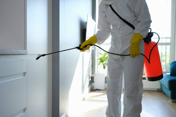 Best Mold Remediation for Specific Building Types in Danbury, TX